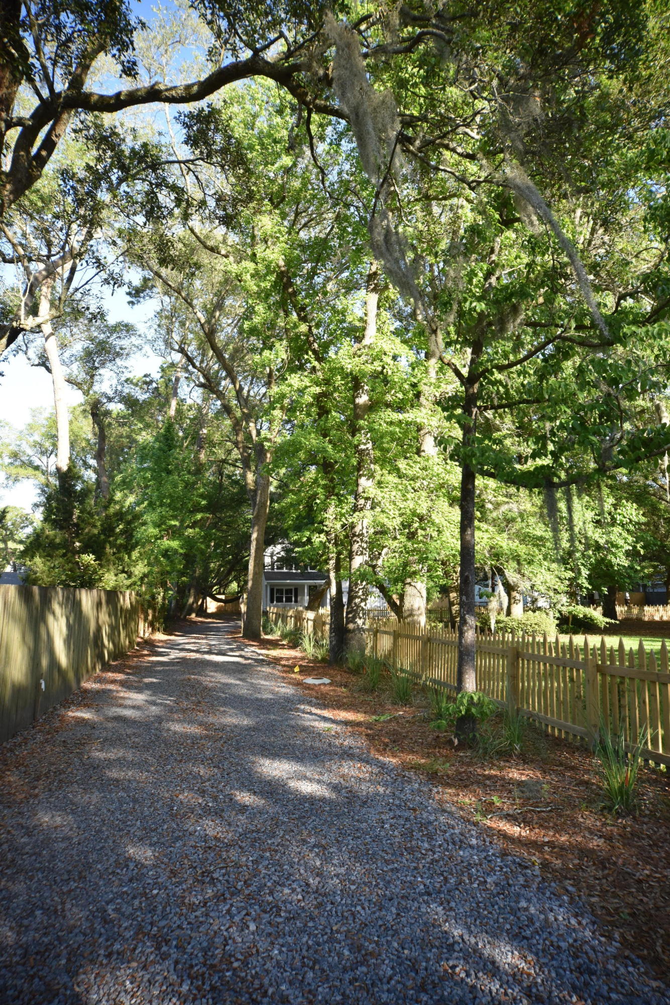 705 Fort Johnson Road Charleston, SC 29412 - Photo 9 of 35 DSC_8140