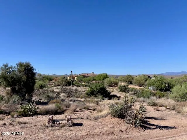 a view of a dry yard with trees