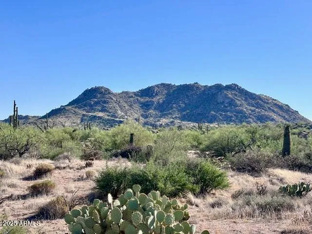 a view of a lush green field with mountains in the background