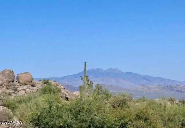 a view of a lush green field with mountains in the background