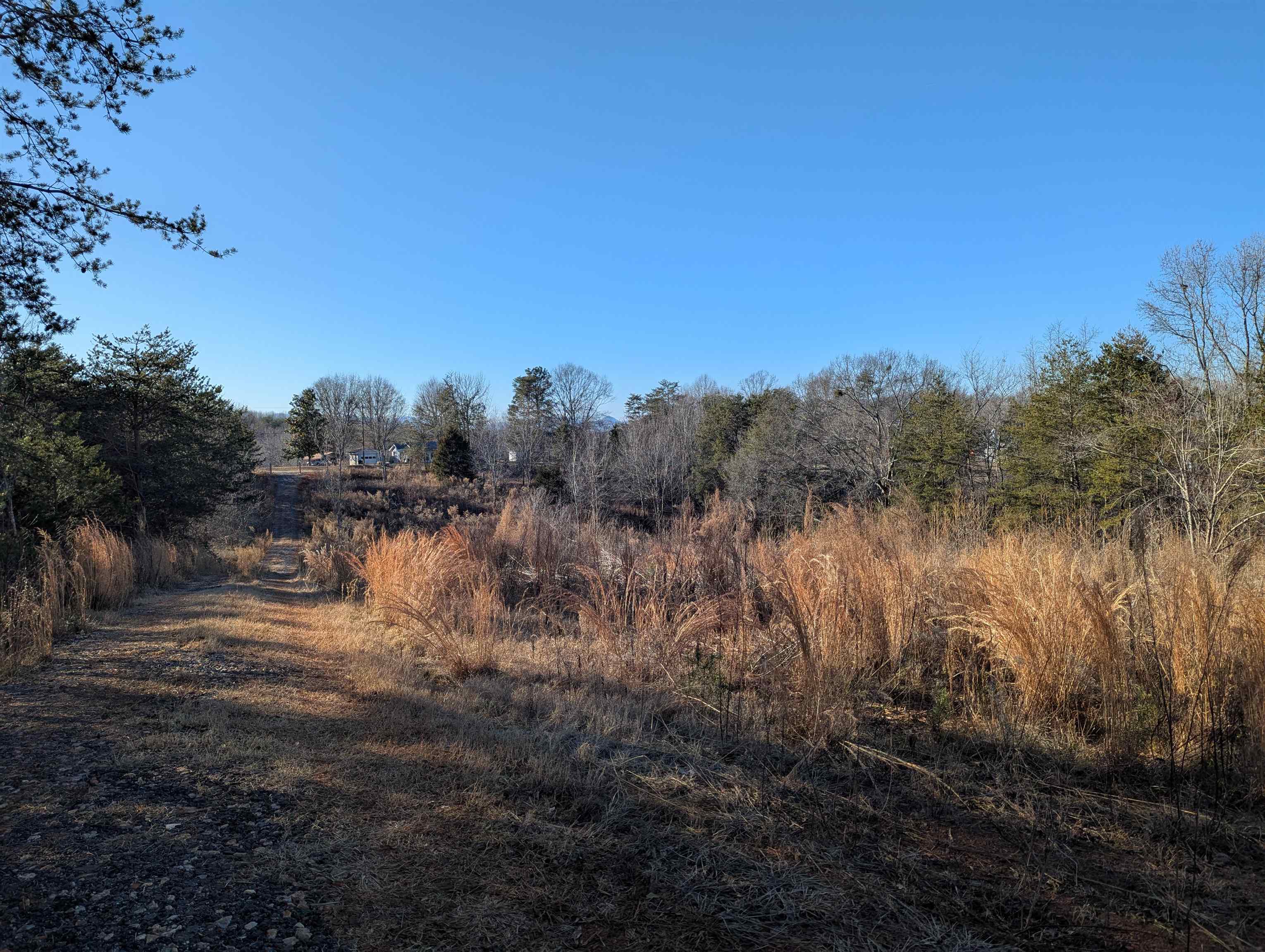 440 Old Melvin Hill Road Campobello, SC 29322 - Photo 2 of 8