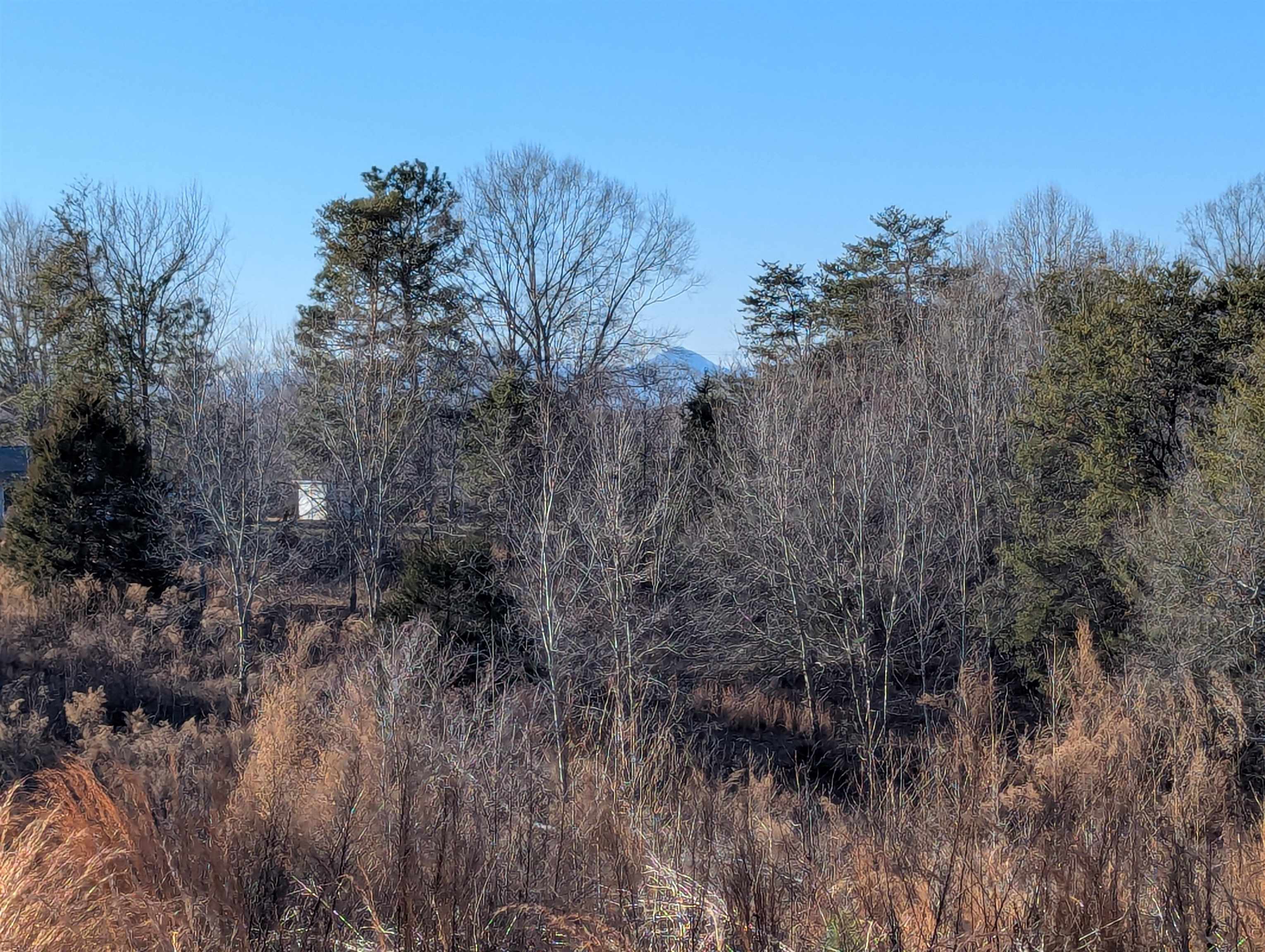 440 Old Melvin Hill Road Campobello, SC 29322 - Photo 3 of 8