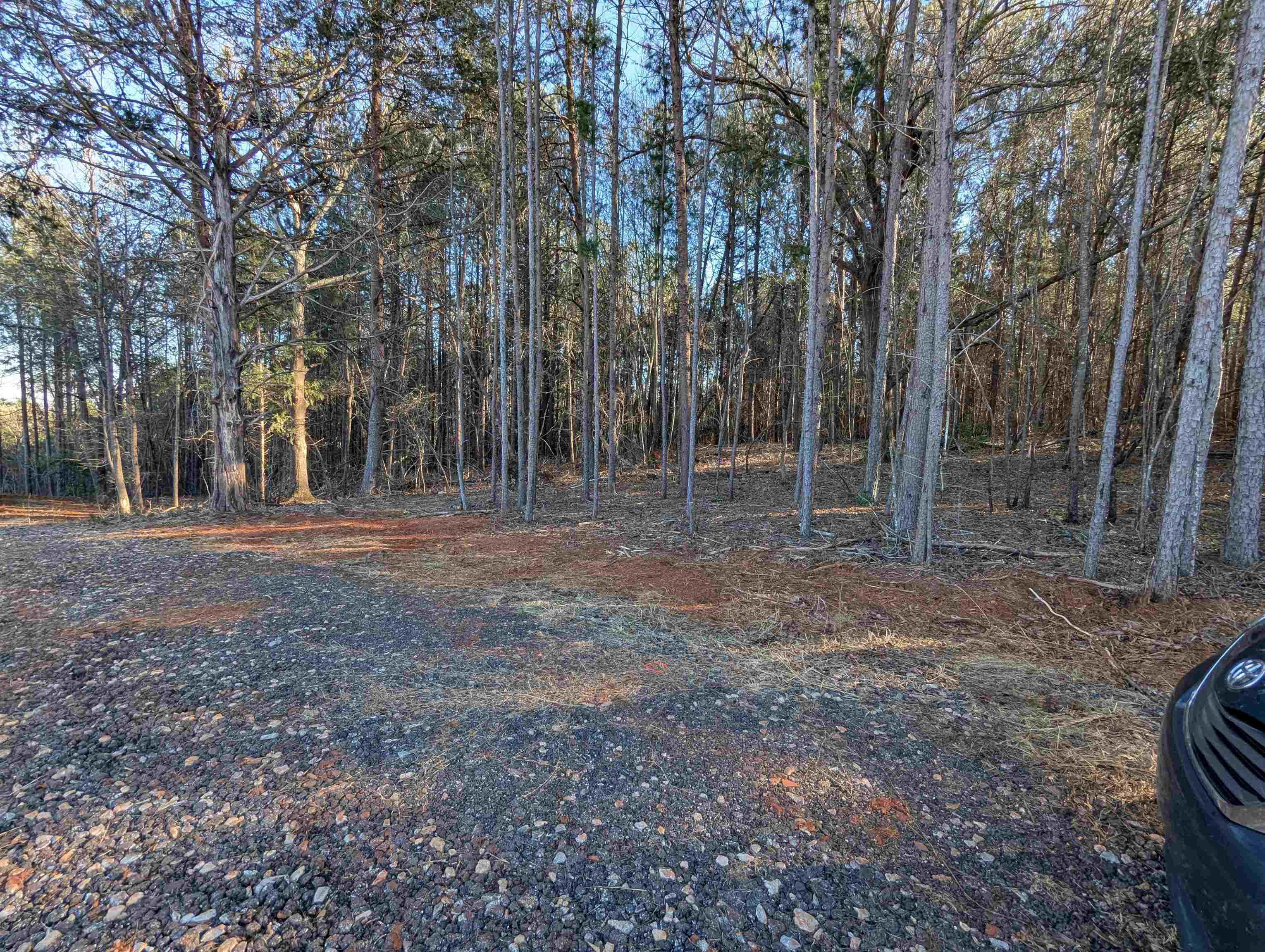 440 Old Melvin Hill Road Campobello, SC 29322 - Photo 8 of 8