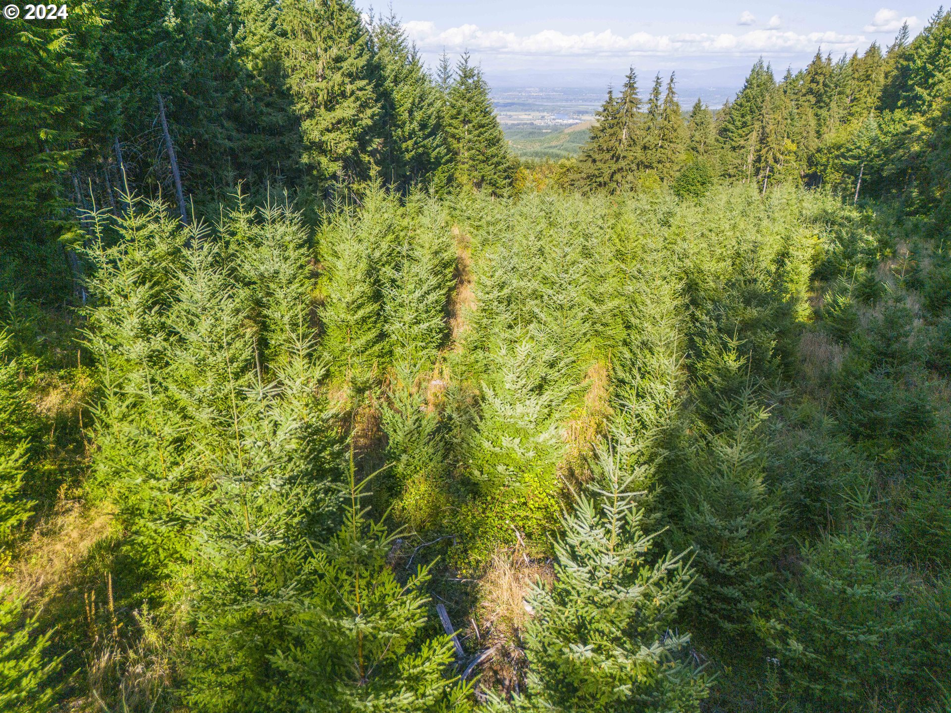 Dixie Mtn Road Scappoose, OR 97056 - Photo 11 of 11 Gallery Image 11