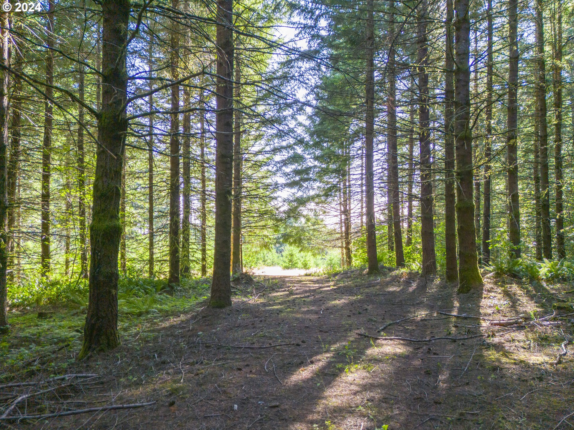 Dixie Mtn Road Scappoose, OR 97056 - Photo 5 of 11 Gallery Image 5