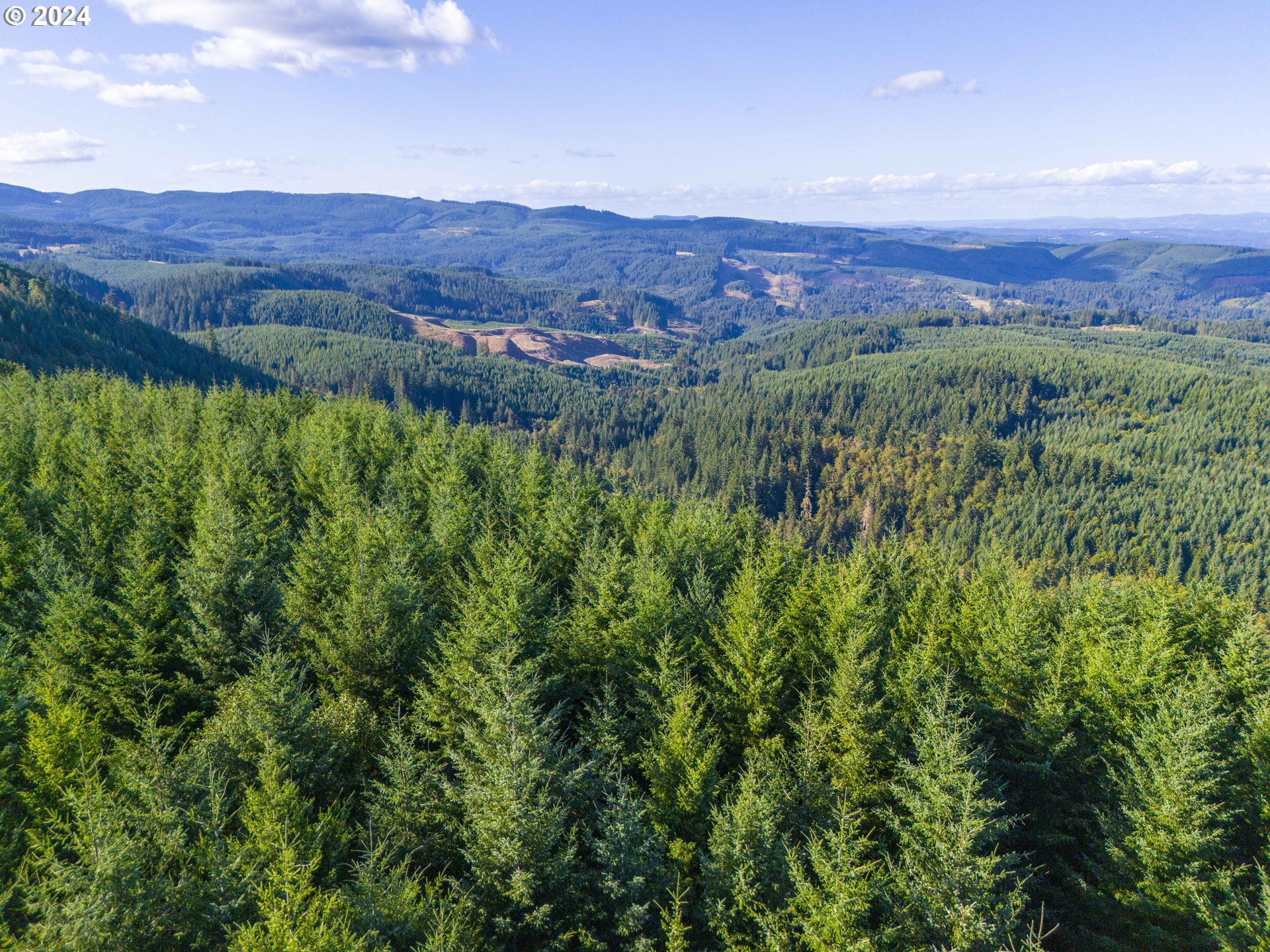 Dixie Mtn Road Scappoose, OR 97056 - Photo 8 of 11 Gallery Image 8