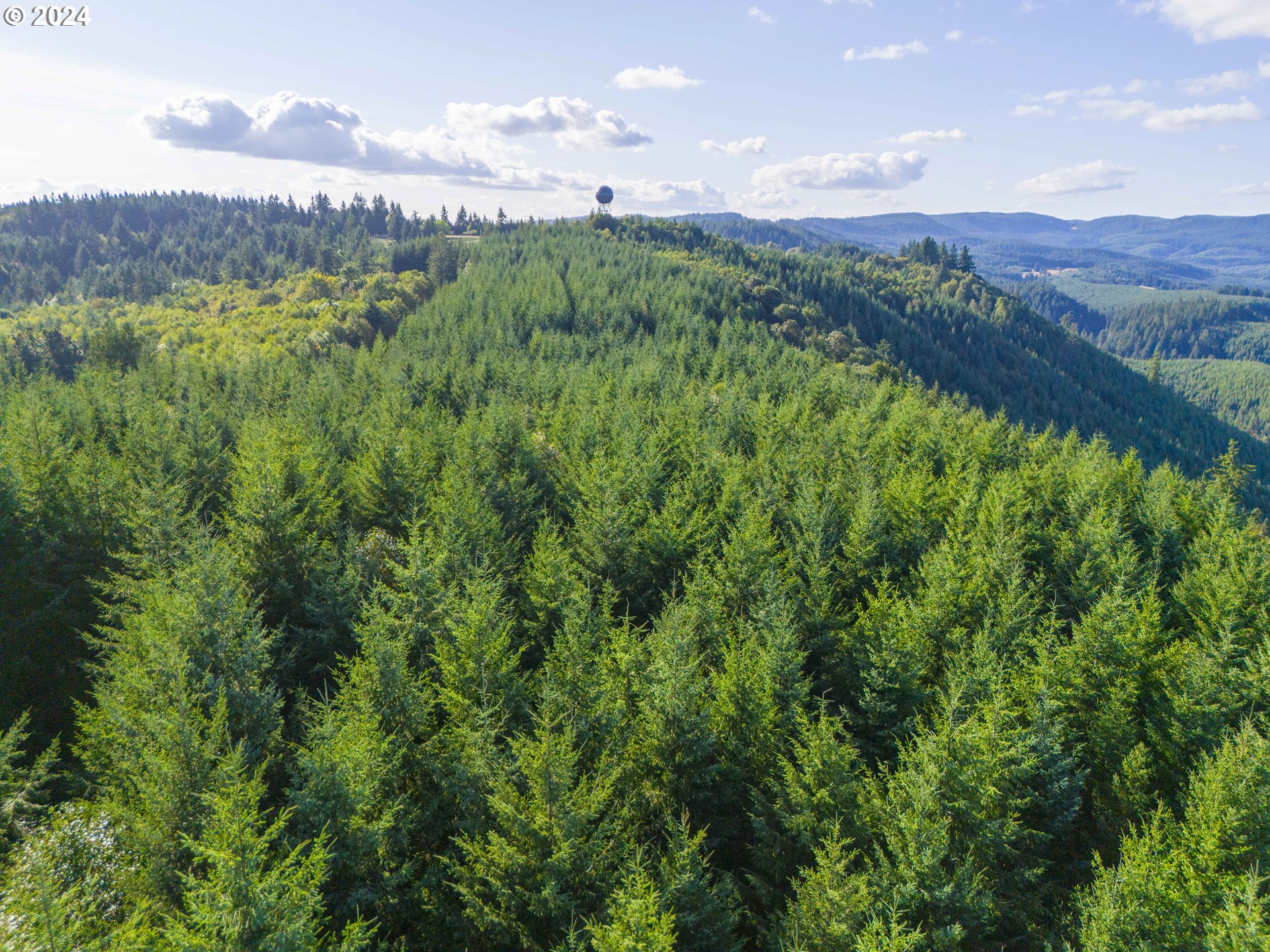 Dixie Mtn Road Scappoose, OR 97056 - Photo 9 of 11 Gallery Image 9