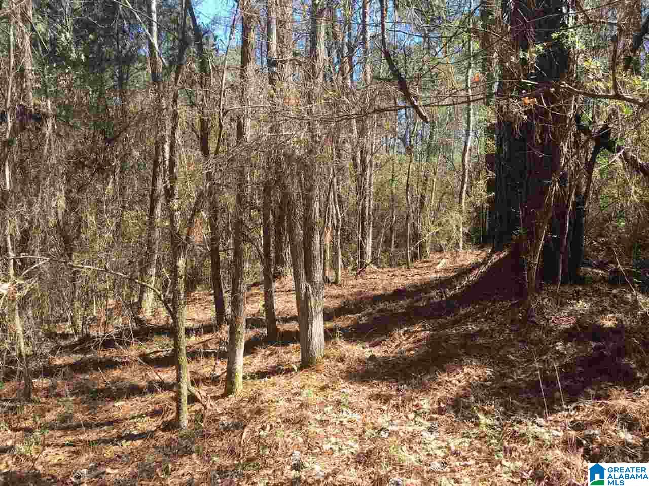 8163 Lock 17 Road Bessemer, AL 35023 - Photo 22 of 34 Gallery Image 22