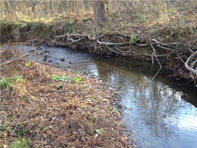 0 Old County House Road White Bluff, TN 37187 - Photo 10 of 14 Gallery Image 10
