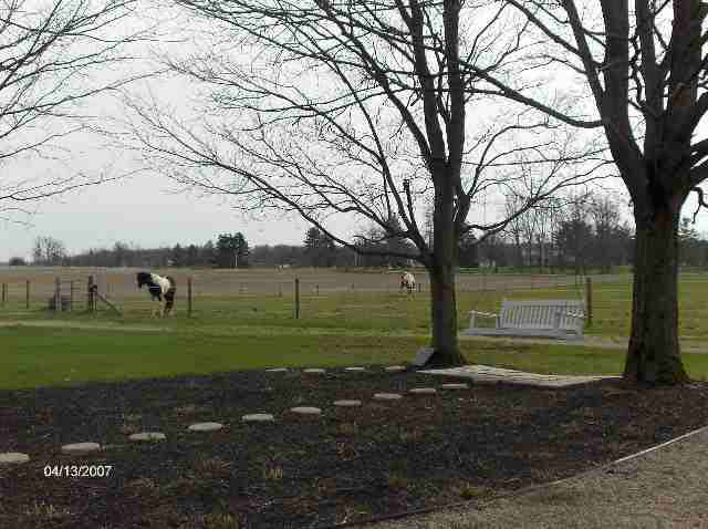 9015 East County Road Albany, IN 47320 - Photo 8 of 9 Gallery Image 8