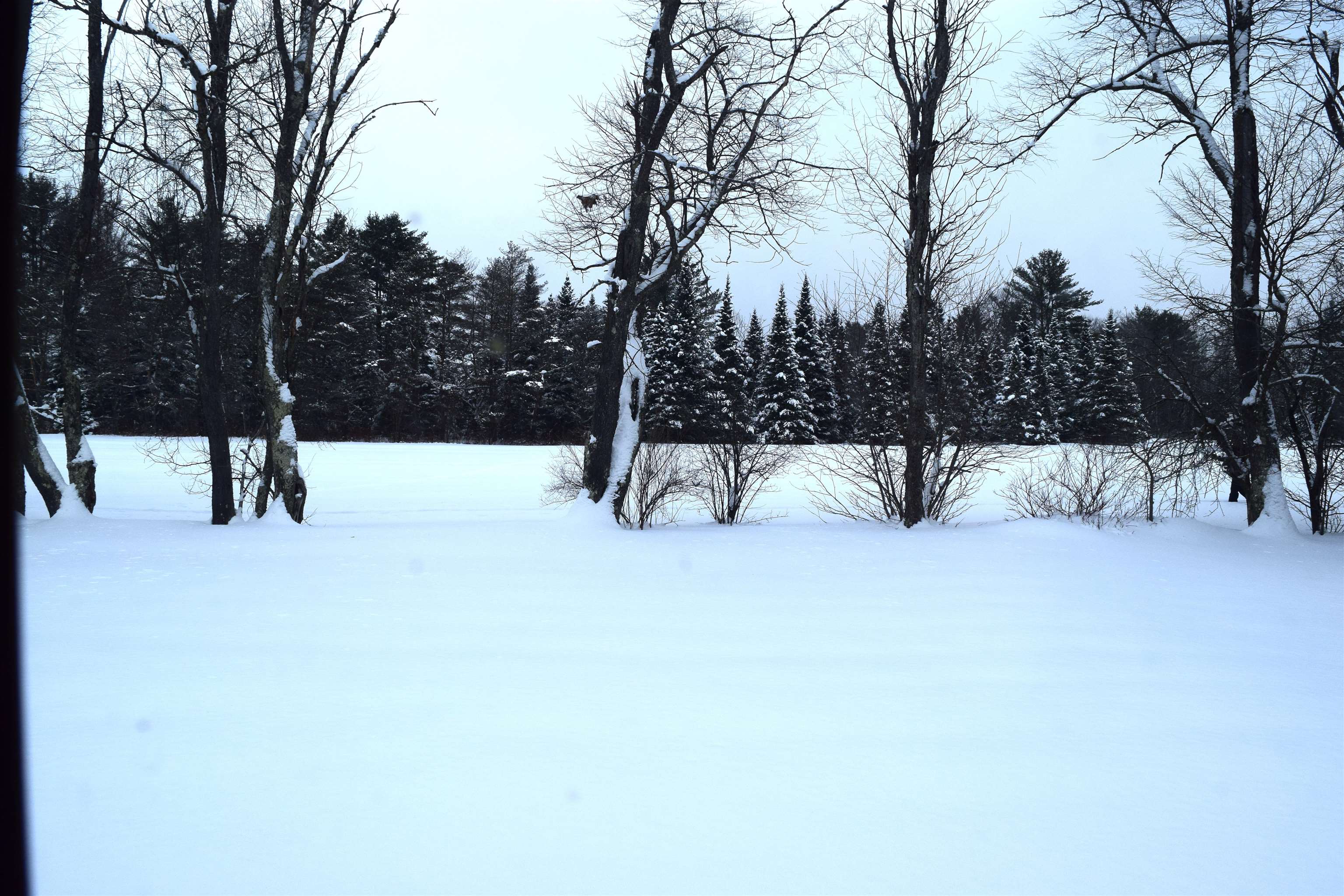 10 Starr King Park Lancaster, NH 03584 - Photo 4 of 18