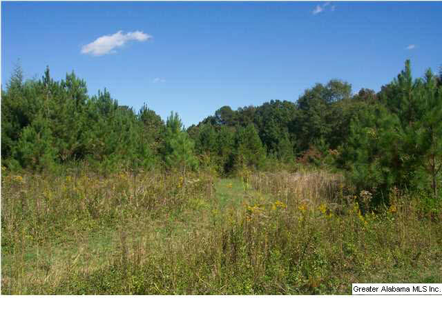 11 Highway Acs Al, Unit 40 Springville, AL 35146 - Photo 3 of 8