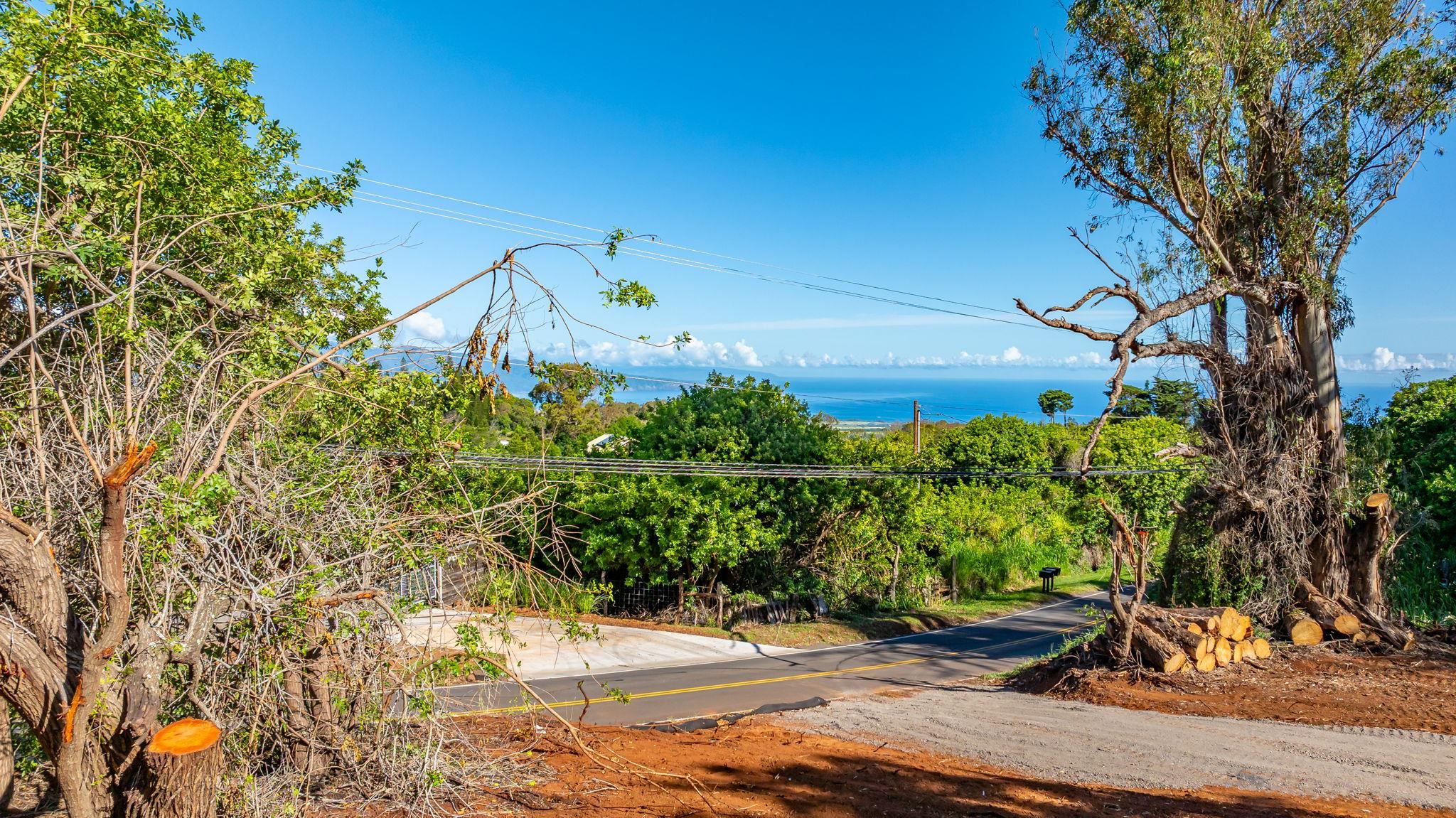 Olinda Road Makawao, HI 96768 - Photo 2 of 10 a backyard of a house with lots of green space