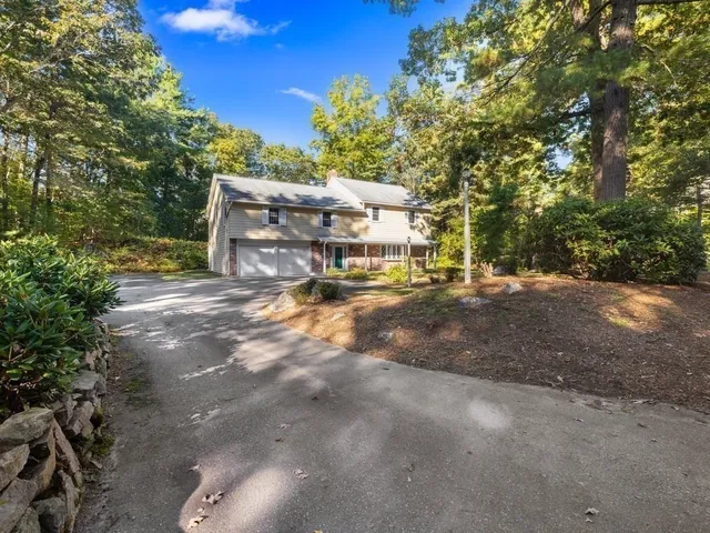 a view of city street with large trees
