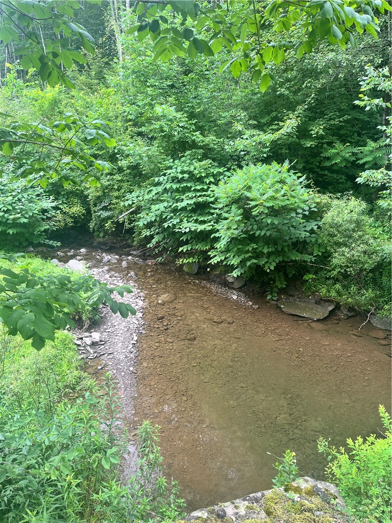 0 Marvin Hollow Road Walton, NY 13856 - Photo 20 of 22 This is the creek that winds along Marvin Hollow R