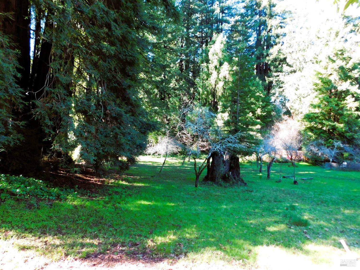 15900 Drake Road Guerneville, CA 95446 - Photo 9 of 9 a view of garden with trees