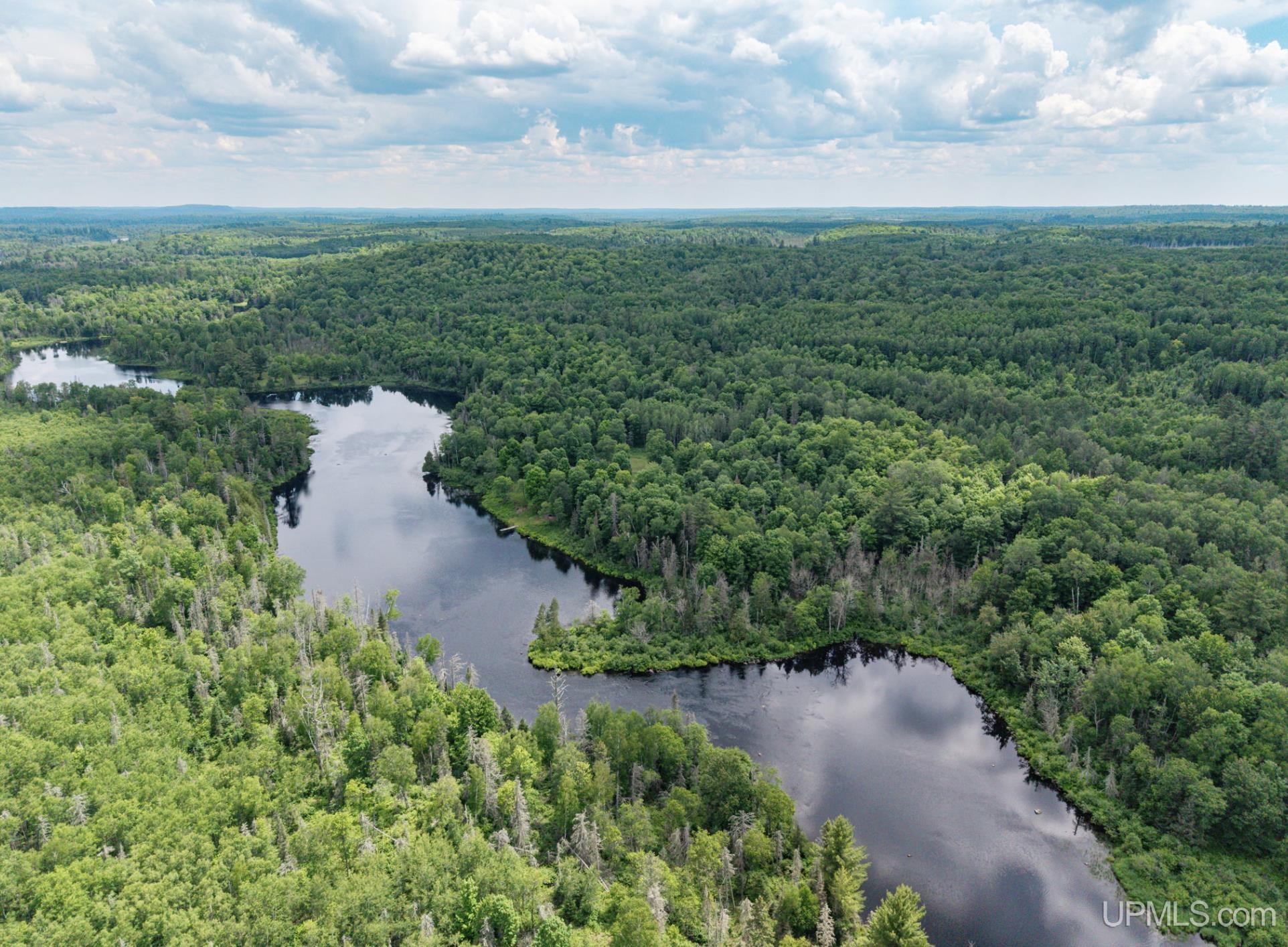14132 River Road Republic, MI 49879 - Photo 93 of 93
