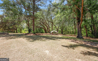 321 Anderson Road Statesboro, GA 30458 - Photo 9 of 45 a view of a yard with a tree