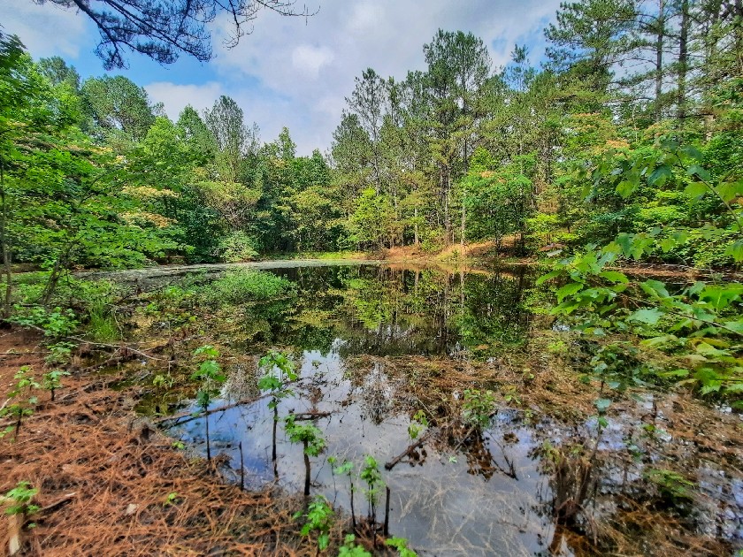 2355 Lindsey Road Parsons, TN 38363 - Photo 2 of 38 Gallery Image 2
