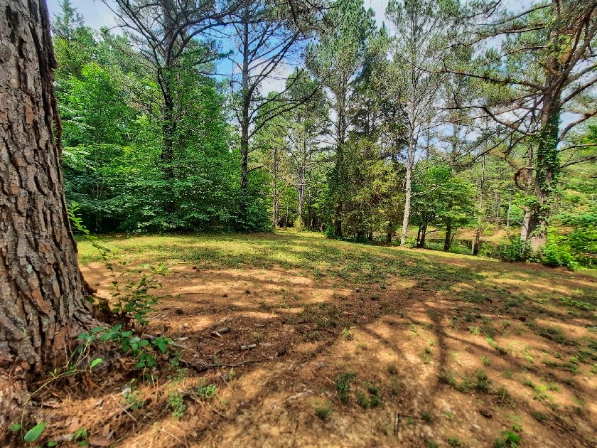 2355 Lindsey Road Parsons, TN 38363 - Photo 21 of 38 Gallery Image 21