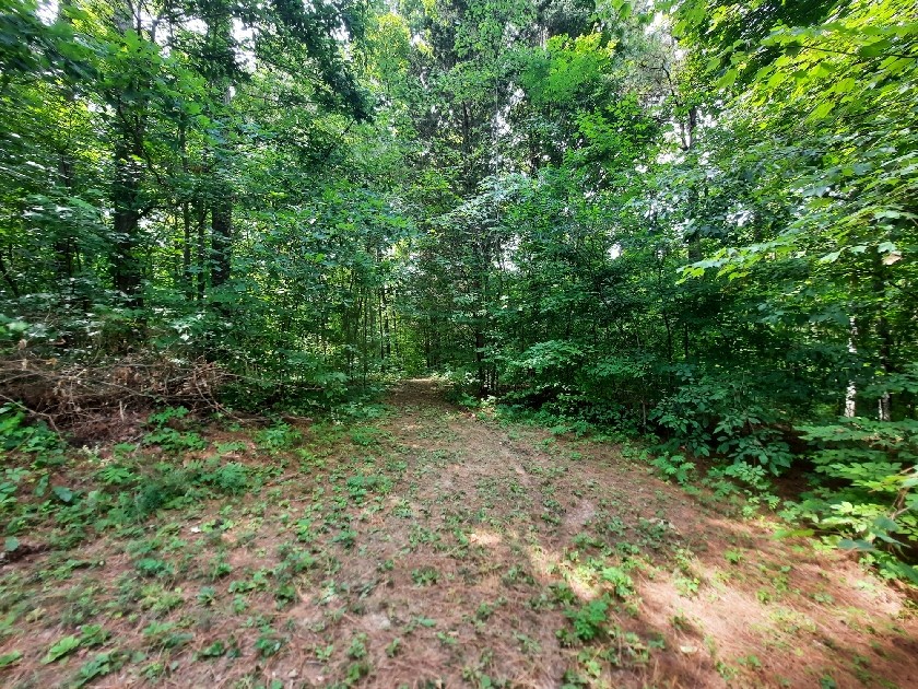 2355 Lindsey Road Parsons, TN 38363 - Photo 23 of 38 Gallery Image 23