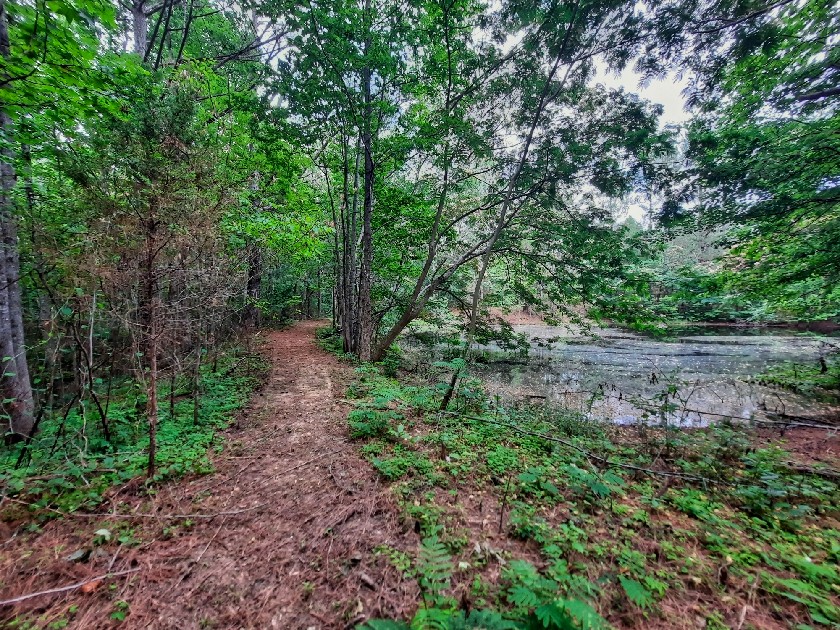 2355 Lindsey Road Parsons, TN 38363 - Photo 24 of 38 Gallery Image 24