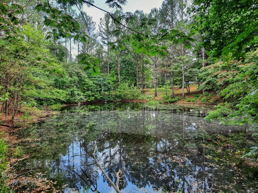 2355 Lindsey Road Parsons, TN 38363 - Photo 26 of 38 Gallery Image 26