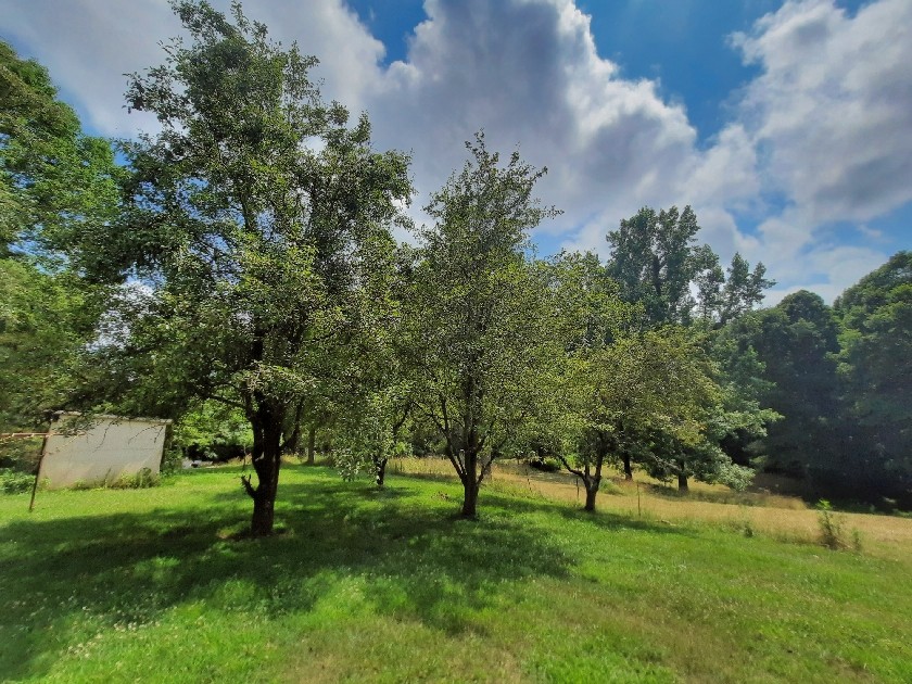 2355 Lindsey Road Parsons, TN 38363 - Photo 32 of 38 Gallery Image 32