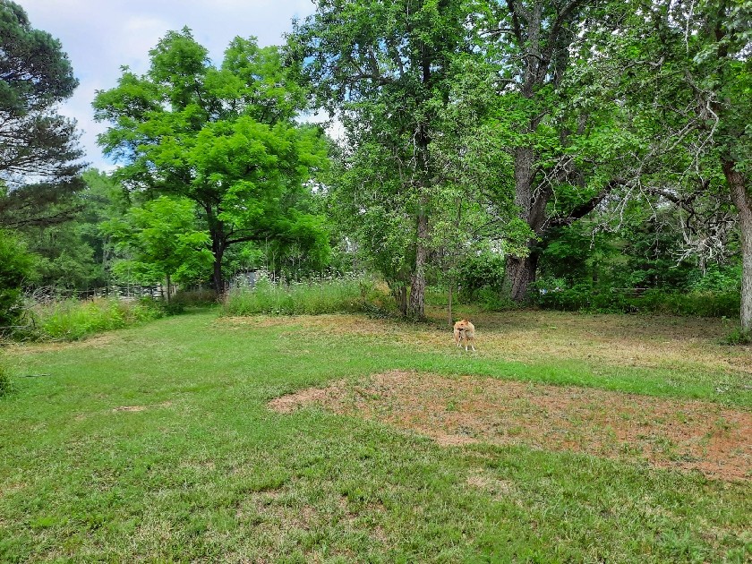2355 Lindsey Road Parsons, TN 38363 - Photo 36 of 38 Gallery Image 36