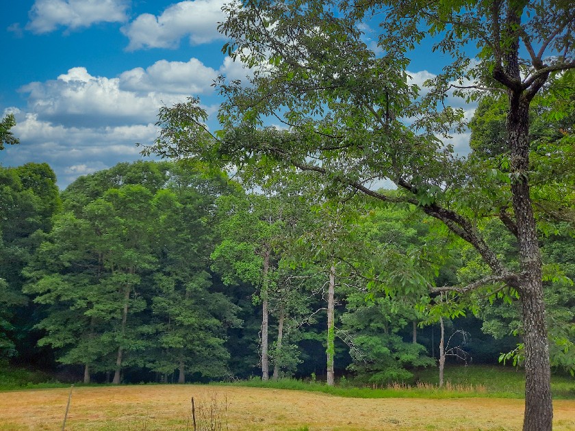 2355 Lindsey Road Parsons, TN 38363 - Photo 38 of 38 Gallery Image 38