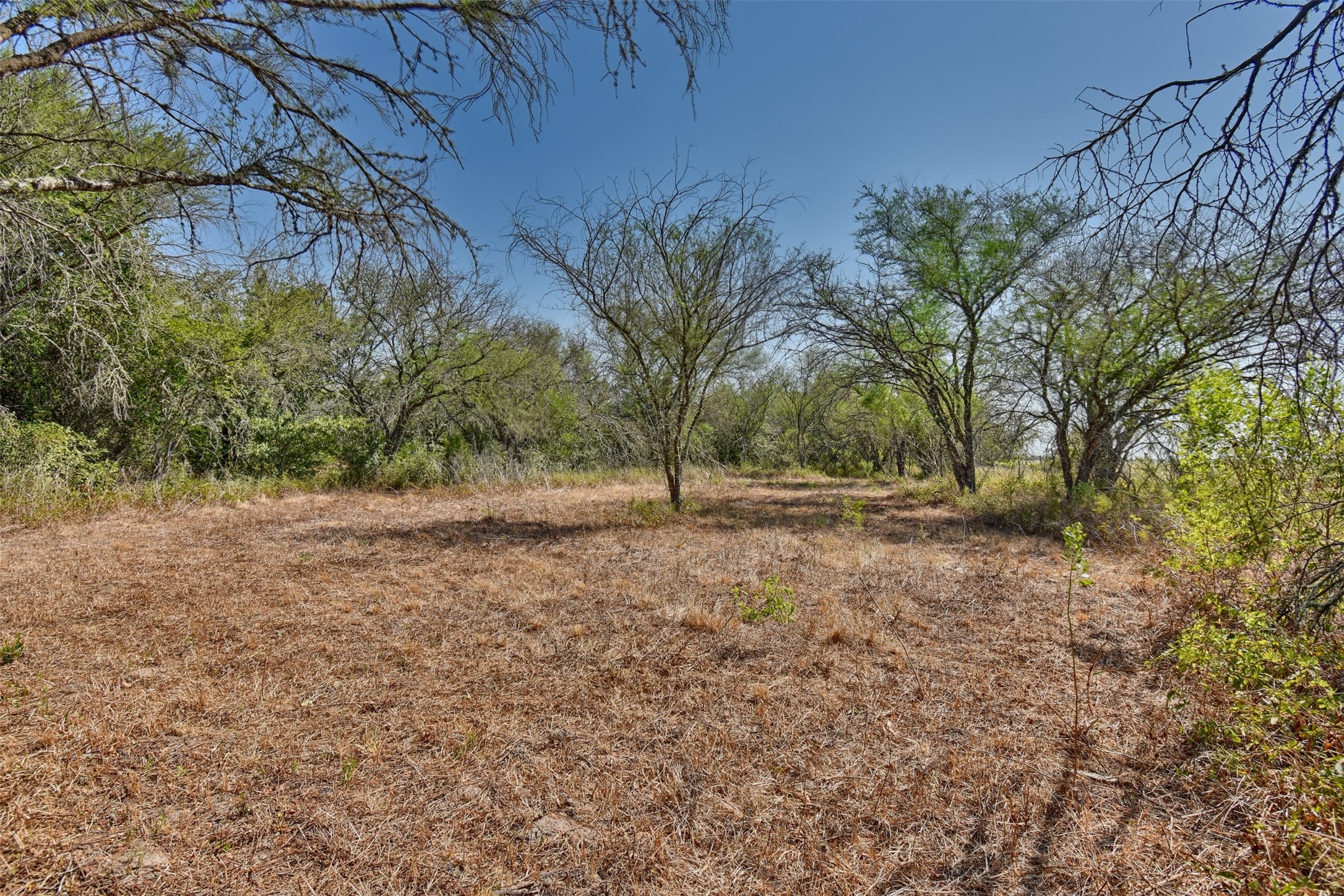 1348 Grubbs Road Sealy, TX 77474 - Photo 8 of 8
