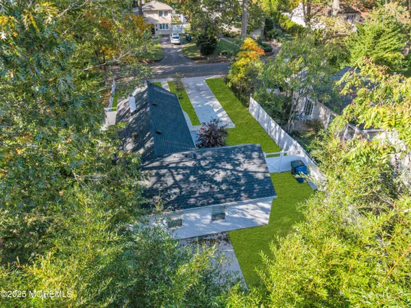 a view of a garden with plants