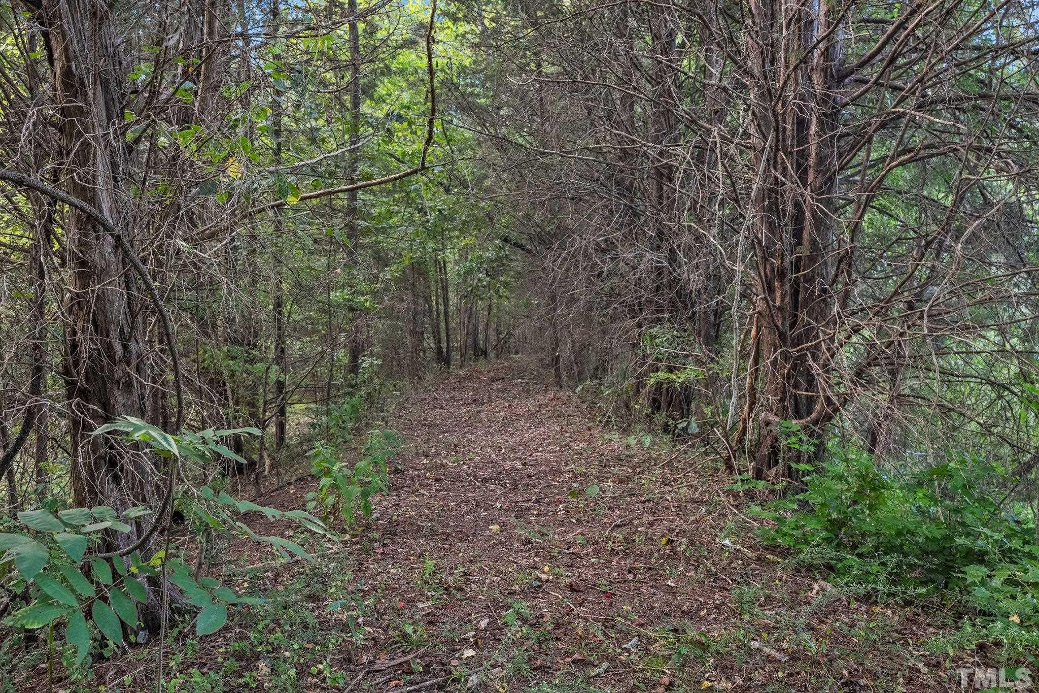 990 Robertson Road Roxboro, NC 27574 - Photo 51 of 55