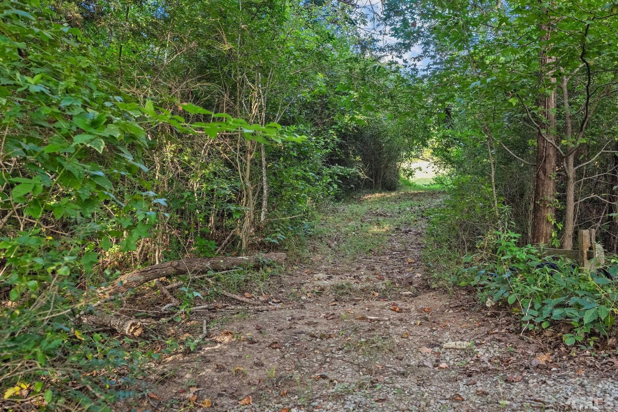 990 Robertson Road Roxboro, NC 27574 - Photo 53 of 55
