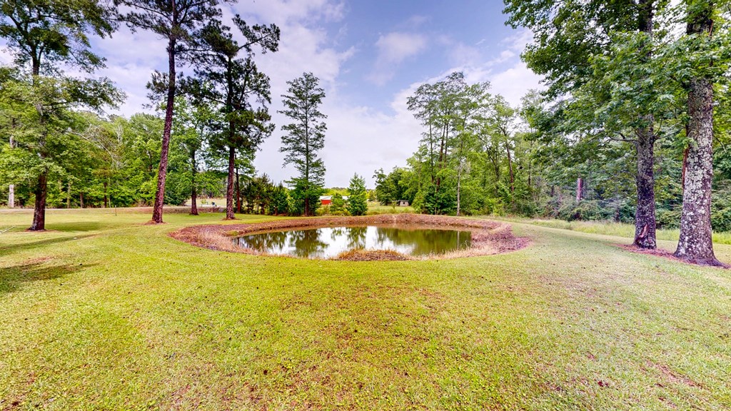335 A J Register Road Dothan, AL 36301 - Photo 35 of 40