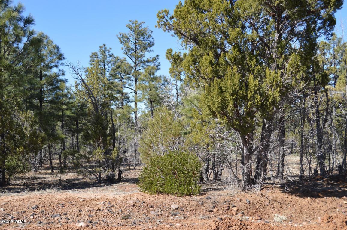 1620 South Falling Leaf Road Show Low, AZ 85901 - Photo 2 of 12 Gallery Image 2