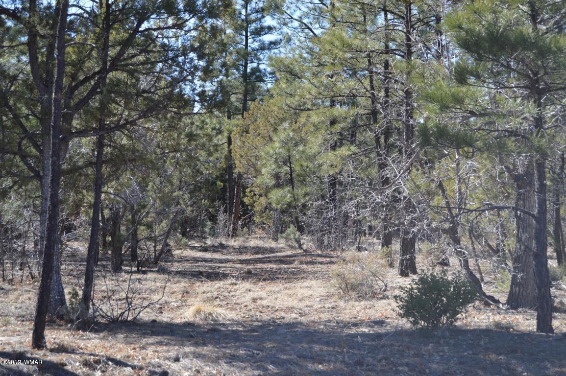 1620 South Falling Leaf Road Show Low, AZ 85901 - Photo 4 of 12 Gallery Image 4