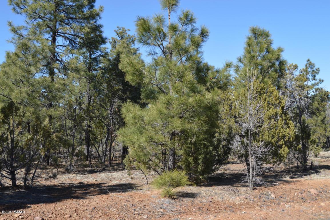 1620 South Falling Leaf Road Show Low, AZ 85901 - Photo 5 of 12 Gallery Image 5