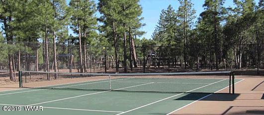 1620 South Falling Leaf Road Show Low, AZ 85901 - Photo 10 of 12 Gallery Image 10