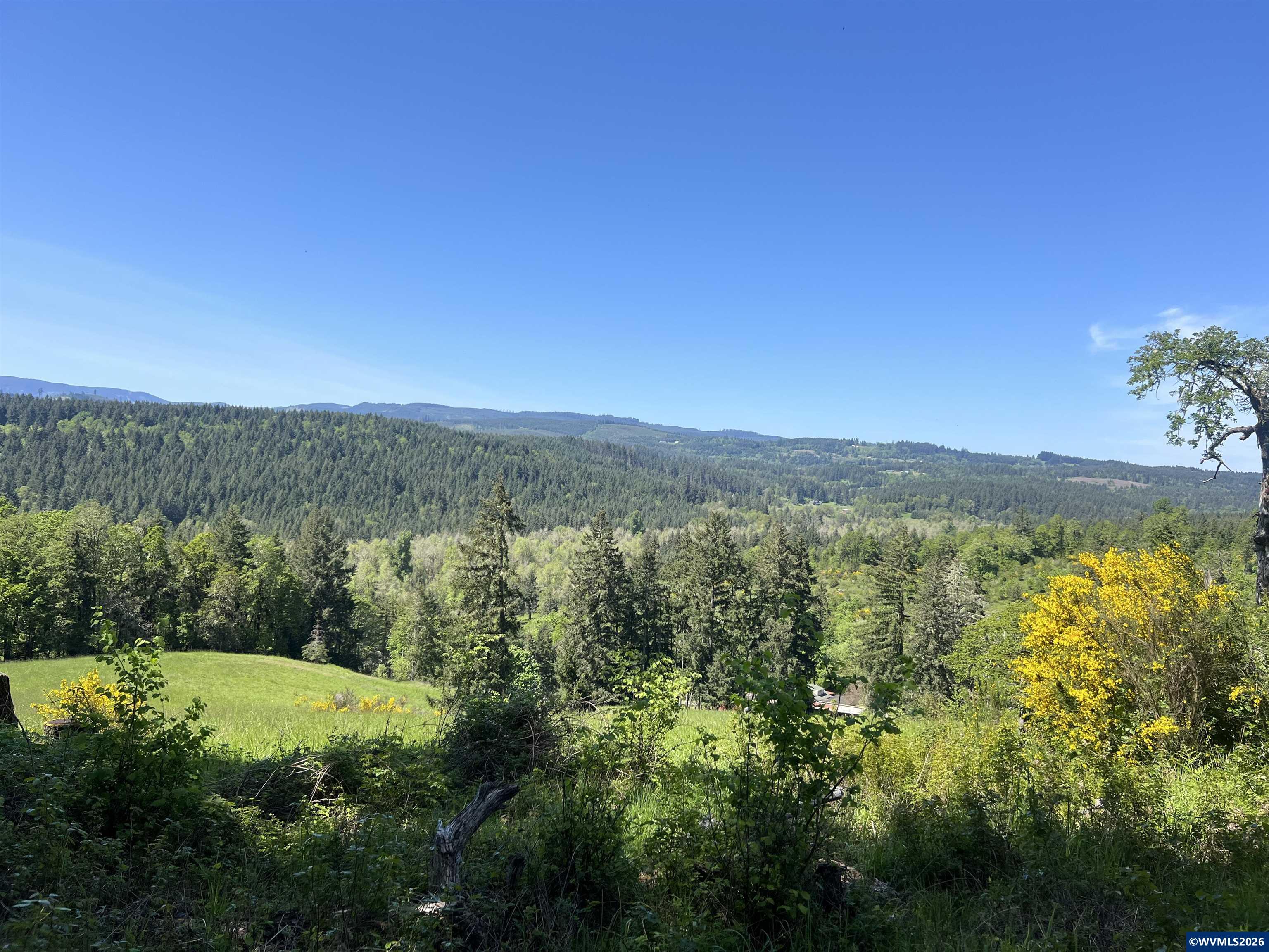 Liberty (lot26) Road Dallas, OR 97338 - Photo 14 of 14 Gallery Image 14