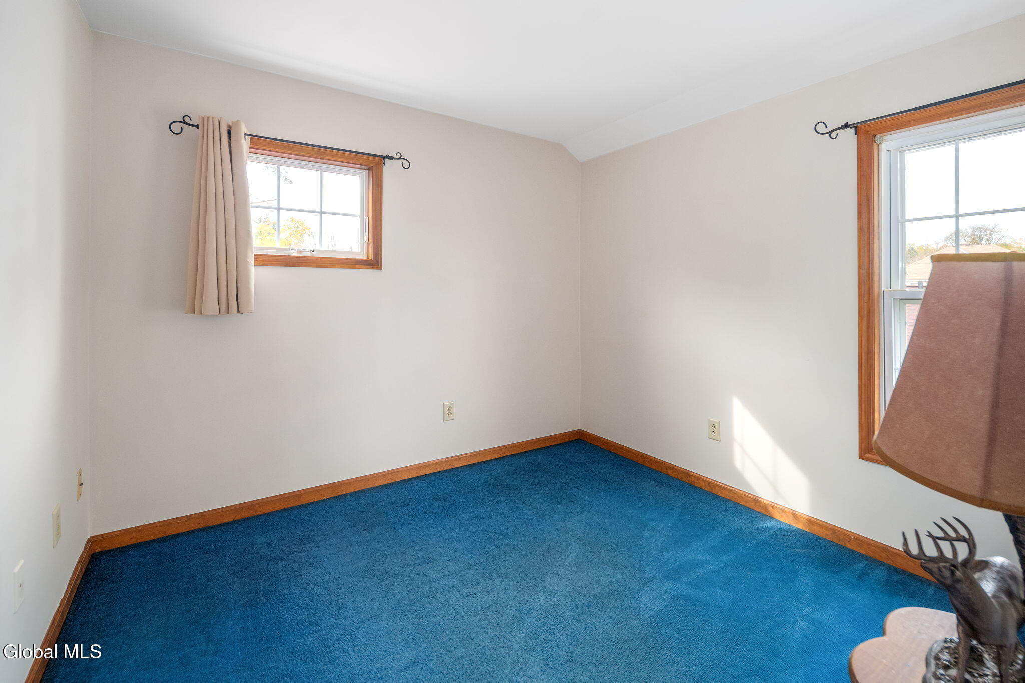 1356 Regal Avenue Schenectady, NY 12308 - Photo 37 of 56 38-1356RegalAve_37