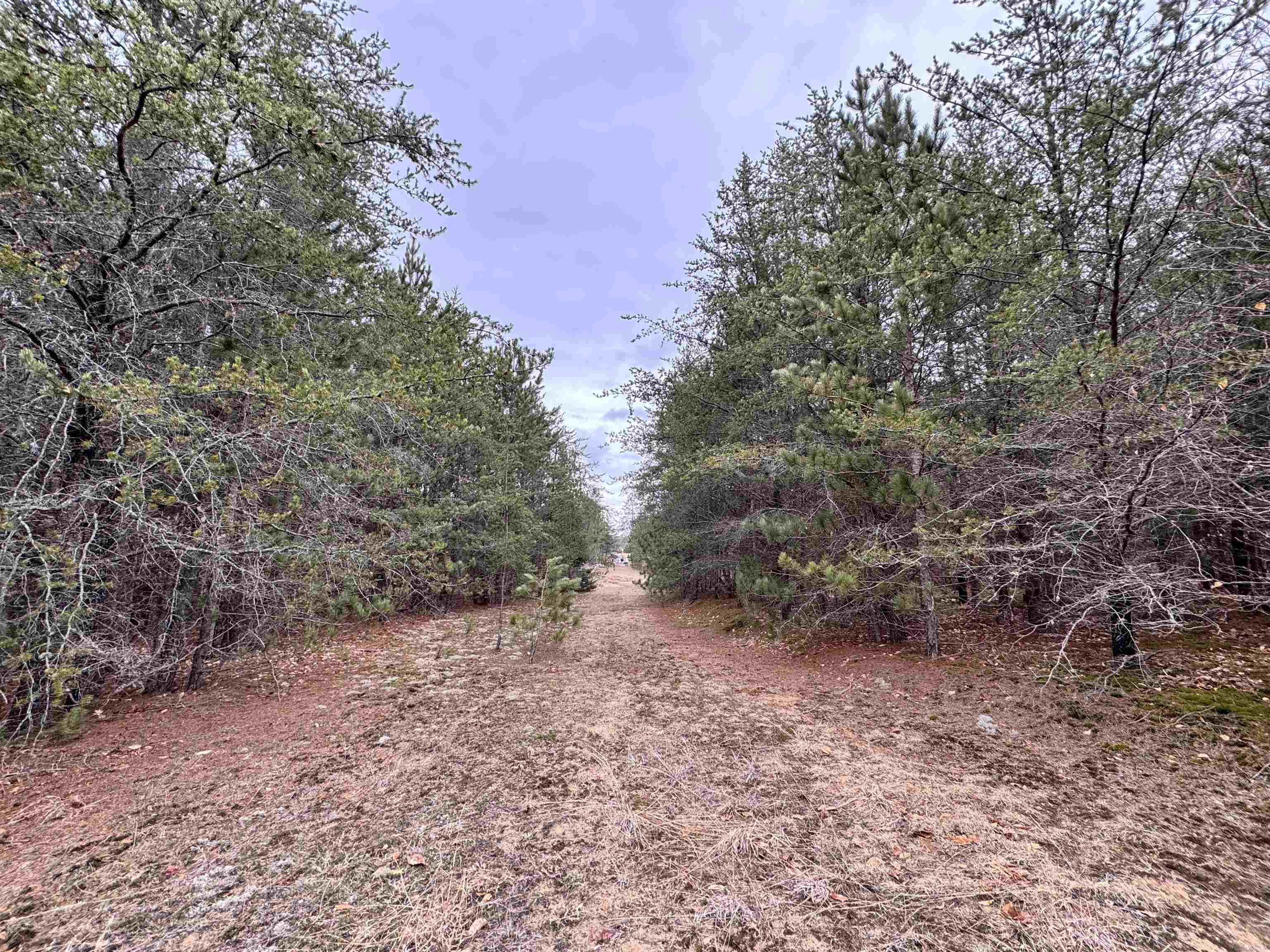 652 Phelps Road Northeast Kalkaska, MI 49646 - Photo 6 of 13