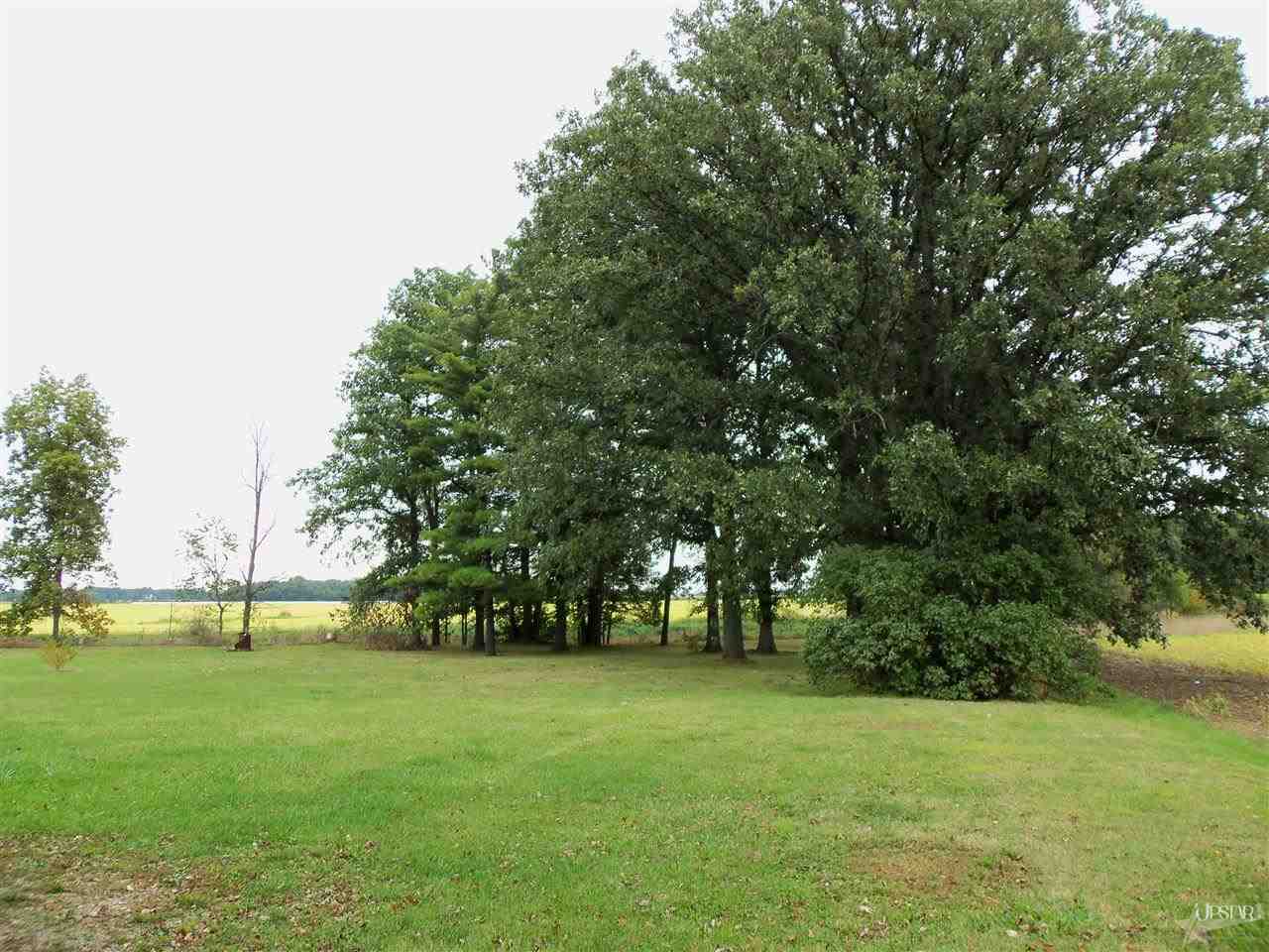 2749 County Road 59 Butler, IN 46721 - Photo 18 of 21