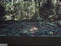 0 Buck Road Dover, PA 17315 - Photo 1 of 1