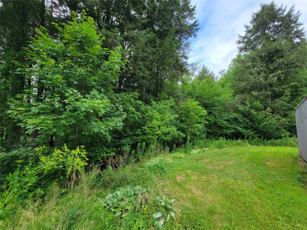 465 Cloverdale Road Chenango Forks, NY 13746 - Photo 17 of 19 Gallery Image 17