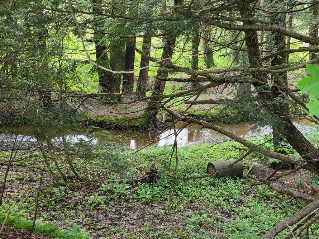 465 Cloverdale Road Chenango Forks, NY 13746 - Photo 18 of 19 Gallery Image 18