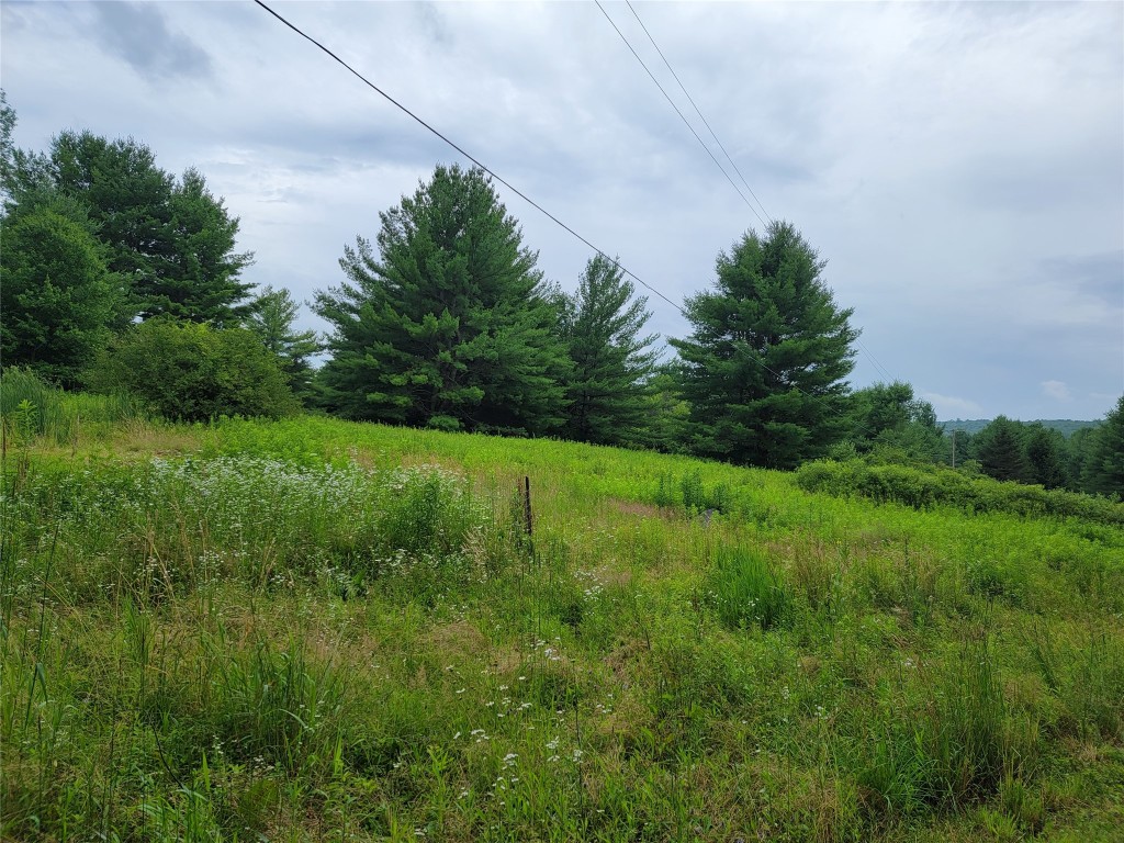 465 Cloverdale Road Chenango Forks, NY 13746 - Photo 19 of 19 Gallery Image 19