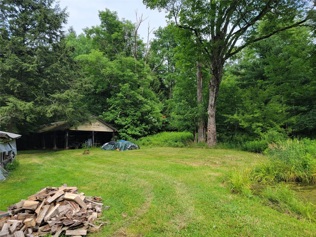 465 Cloverdale Road Chenango Forks, NY 13746 - Photo 3 of 19 Gallery Image 3