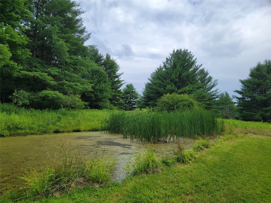 465 Cloverdale Road Chenango Forks, NY 13746 - Photo 4 of 19 Gallery Image 4