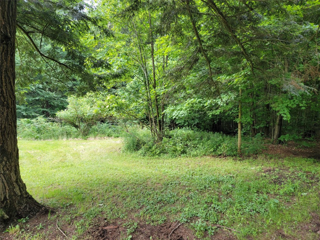 465 Cloverdale Road Chenango Forks, NY 13746 - Photo 8 of 19 Gallery Image 8